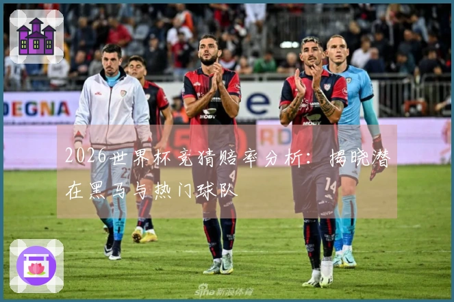 2026世界杯竞猜赔率分析：揭晓潜在黑马与热门球队