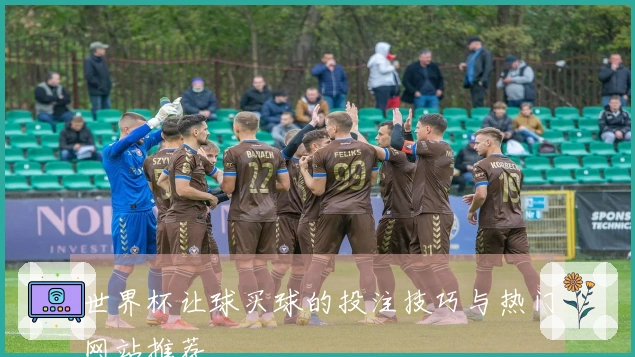 世界杯让球买球的投注技巧与热门网站推荐