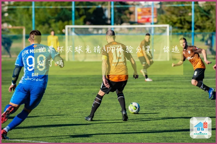 世界杯买球竞猜App体验分享，你选对了吗