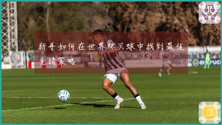 新手如何在世界杯买球中找到最佳竞猜策略