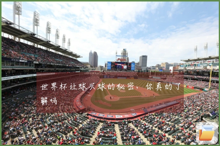 世界杯让球买球的秘密，你真的了解吗
