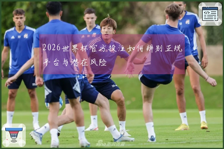 2026世界杯官方投注如何辨别正规平台与潜在风险