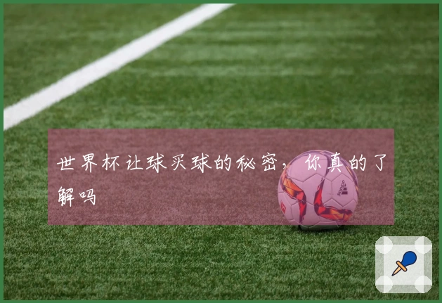世界杯让球买球的秘密，你真的了解吗