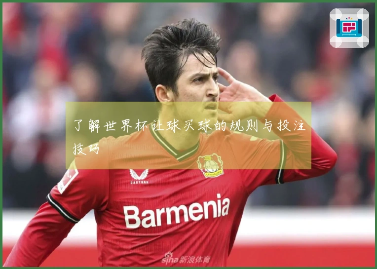 了解世界杯让球买球的规则与投注技巧