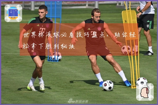 世界杯滚球必看技巧盘点，助你轻松拿下胜利秘诀