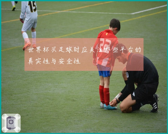 世界杯买足球时应关注哪些平台的真实性与安全性