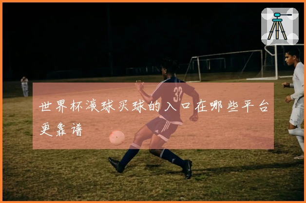 世界杯滚球买球的入口在哪些平台更靠谱