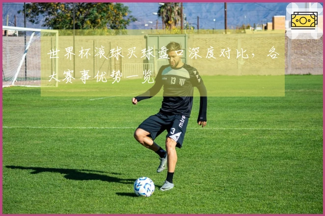 世界杯滚球买球盘口深度对比，各大赛事优势一览