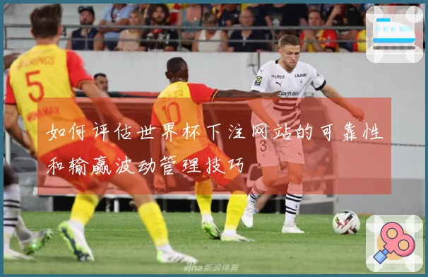 如何评估世界杯下注网站的可靠性和输赢波动管理技巧