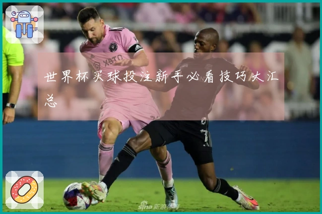 世界杯买球投注新手必看技巧大汇总