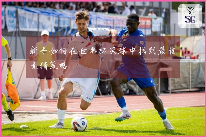 新手如何在世界杯买球中找到最佳竞猜策略