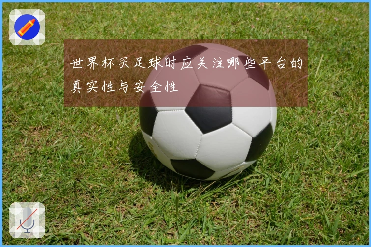 世界杯买足球时应关注哪些平台的真实性与安全性